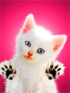 file_44349533