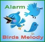 VA - Birds Melody Alarm clock