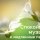 DJ RIDON - Velvet Night Mystical Evening Under Moonlight (Original Mix)
