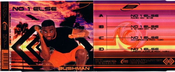 Bushman - No 1 Else Radio Mix