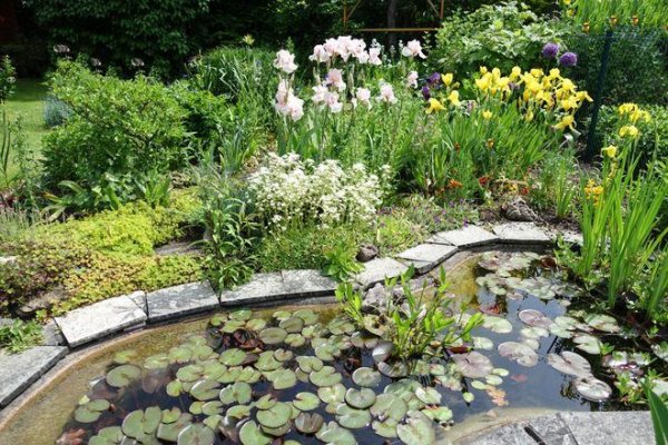 Идиллия сада - Gartenidylle