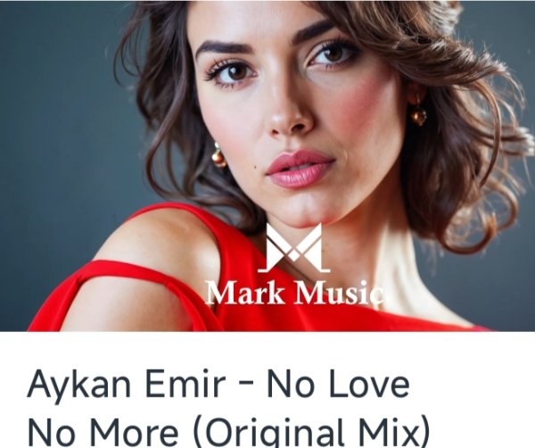 Aykan Emir - No Love No More