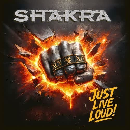 Shakra - High Above The Storm