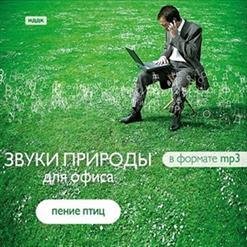Звуки природы - Лазоревка