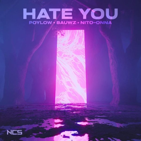 Poylow &amp;amp; BAUWZ, Nito-Onna - Hate You (Original Mix)