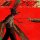 Kenshi Yonezu - KICK BACK