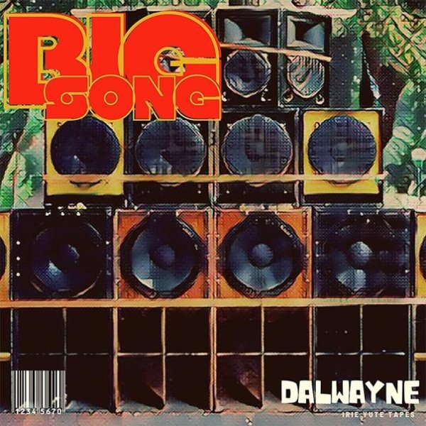 Dalwayne &amp;amp; Irie Yute Tapes - Big Song