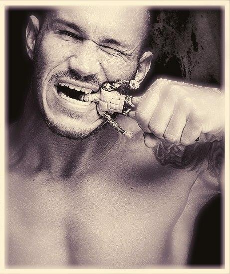 WWE - Randy Orton