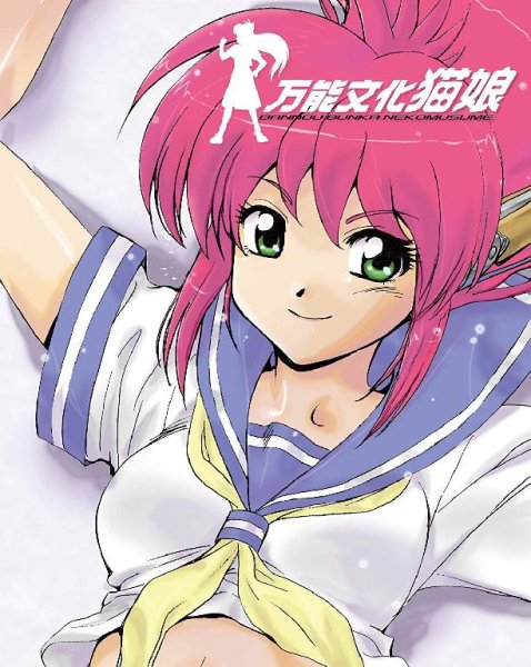 Hayashibara Megumi - Oyasumi Nasai Ashita wa Ohayou (Bannou Bunka Nekomusume (1998) ED)