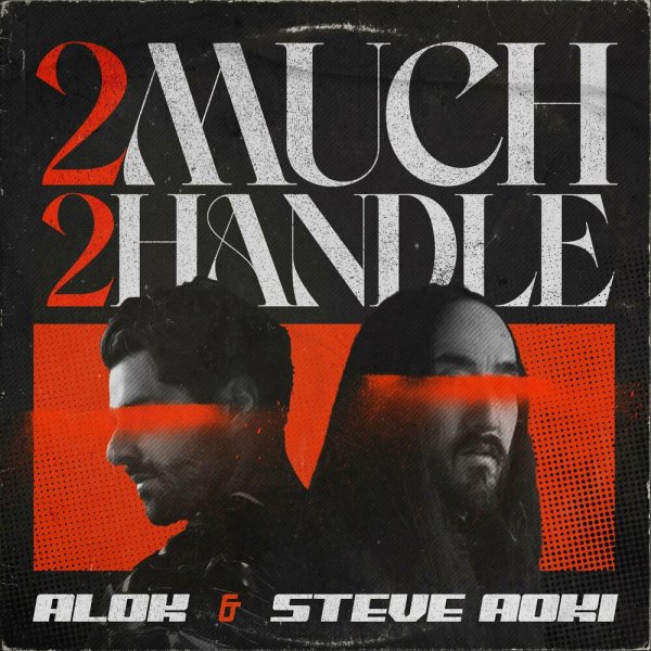 Alok &amp;amp; Steve Aoki - 2 Much 2 Handle