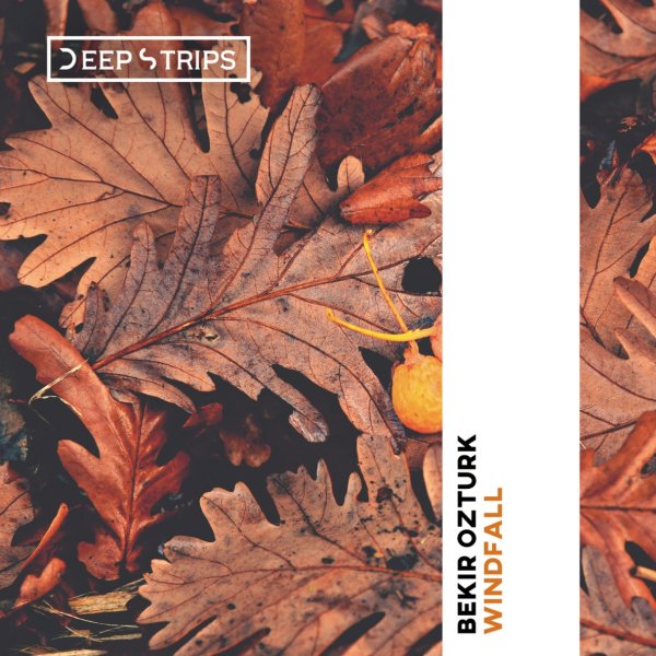 Bekir Ozturk - Windfall