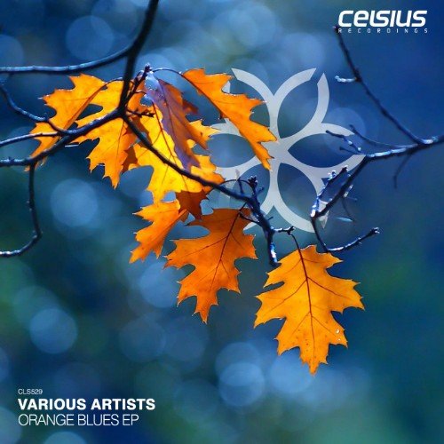 Celsius Recordings (Various Artists) - Orange Blues