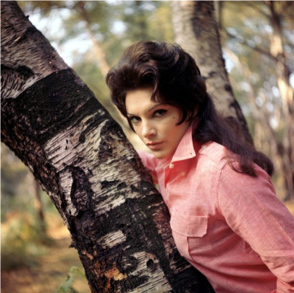 Patsy Ann Noble - I&apos;m Nobody&apos;s Baby