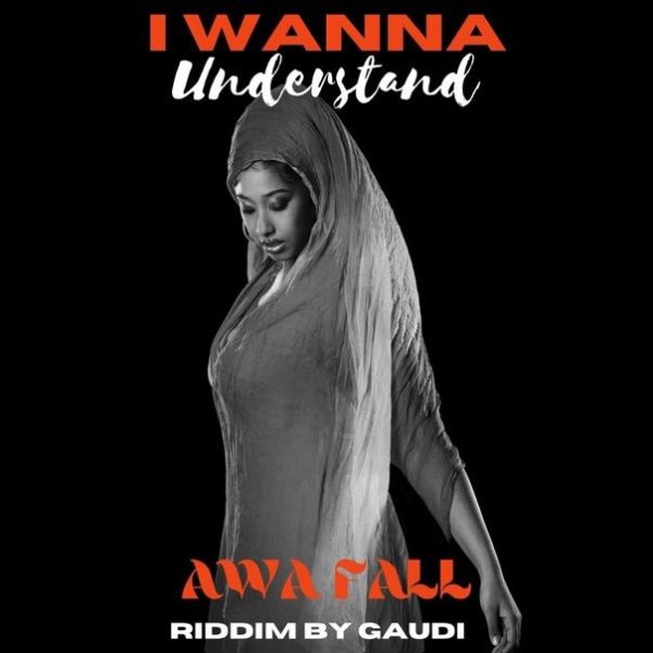 Awa Fall &amp;amp; Gaudi - I Wanna Understand