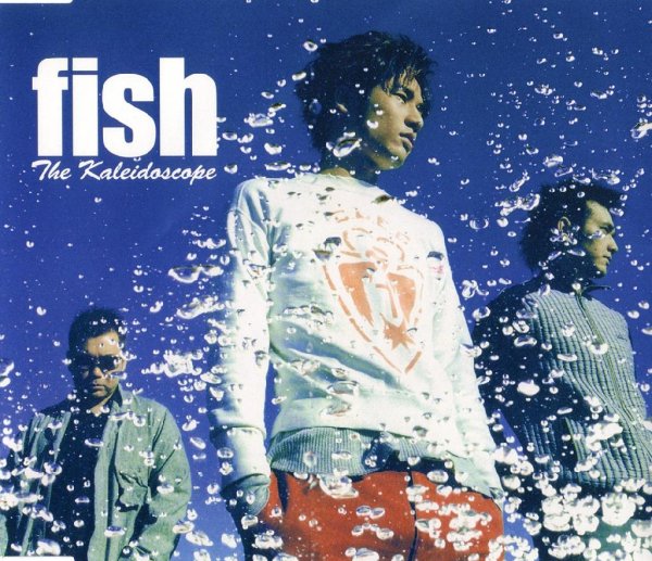 The Kaleidoscope - fish