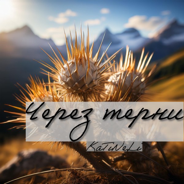 KaTiNeLi - Через терни