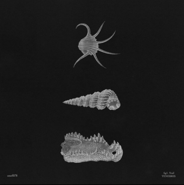Trail - Tenebris