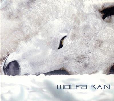 Steve Conte - Stray (Wolf`s Rain OP)