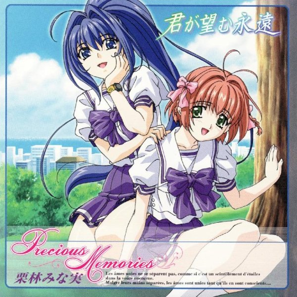 Kuribayashi Minami - Precious Memories (Kimi ga Nozomu Eien OP)