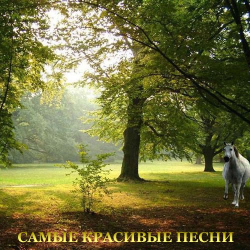Мила Берлинская, Игорь Капитанников, ВИА Верные друзья - Веришь или нет