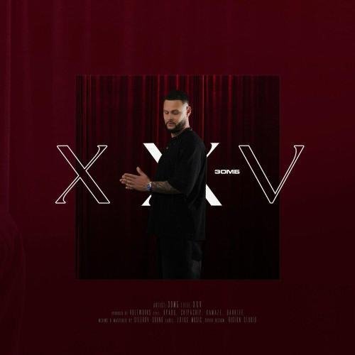ЗОМБ - XXV