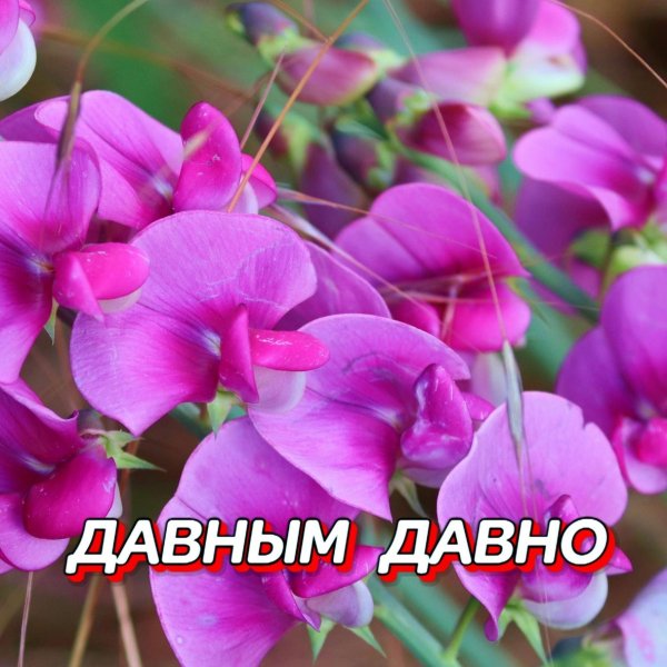 Сергей Грищук - ДЛЯ ДУШИ