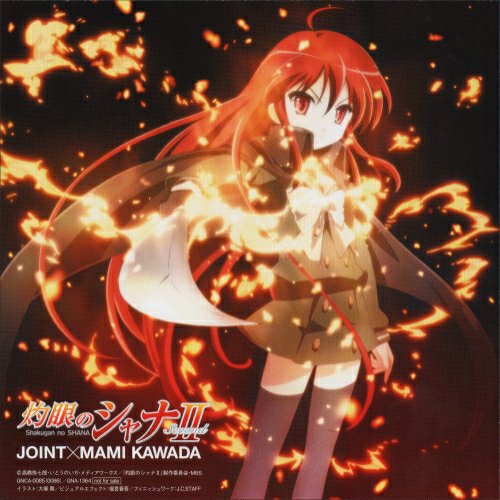 Mami Kawada - Joint
