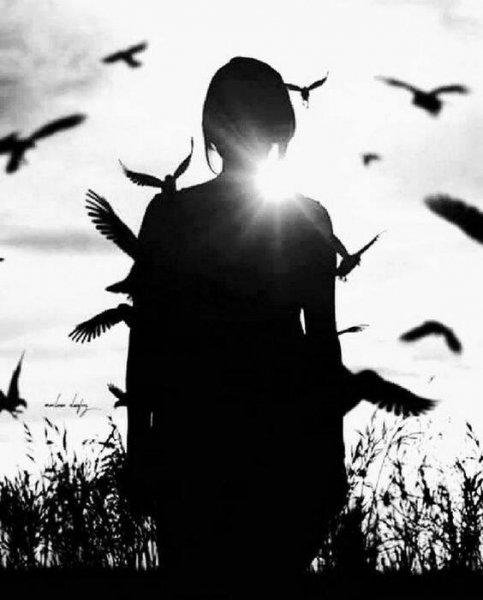 SHAMAN - УЛЕТАЙ