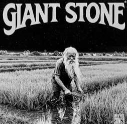 GIANT STONE - All Will Be One