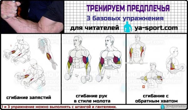 Тренируем предплечья