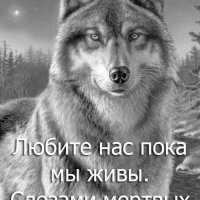 IMG 20200628 002101