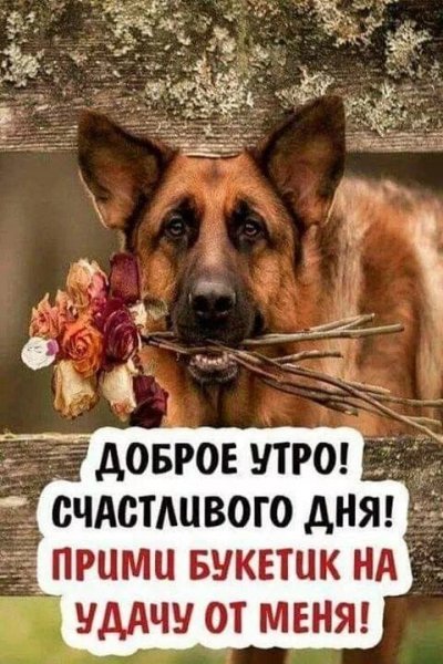Доброе утро!