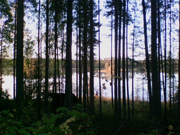 Сумрак