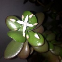 IMG 20181222 105345 521