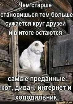 FB IMG 16963405910432072