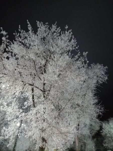 IMG 20241227 192705