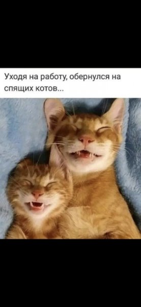 picture_419369704