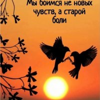 SR-NM8snh6EN2j1WVMso9aLfSD40m5m93z-wwTaBt8U F81bR-meyoiD-EEi
