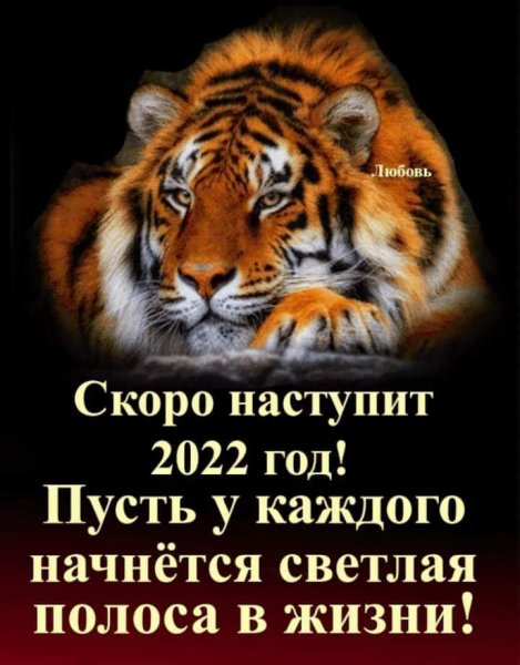 FB IMG 1640509425749