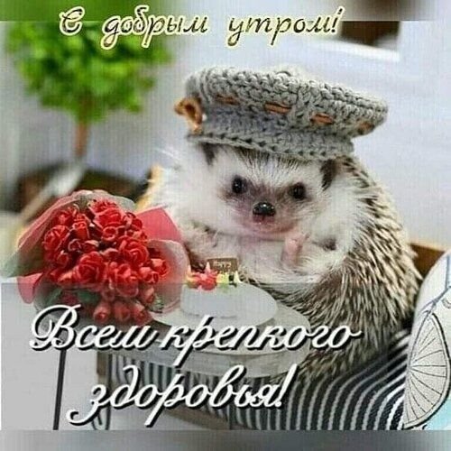 A7a86b85b263fb34988424a025bdfb5d