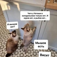 Висит