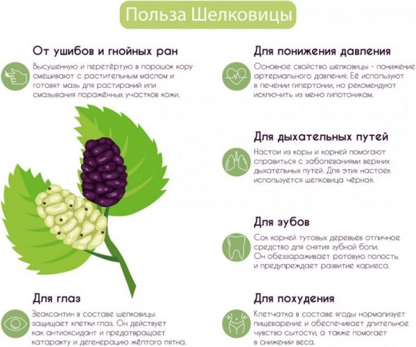 Зеленая аптека