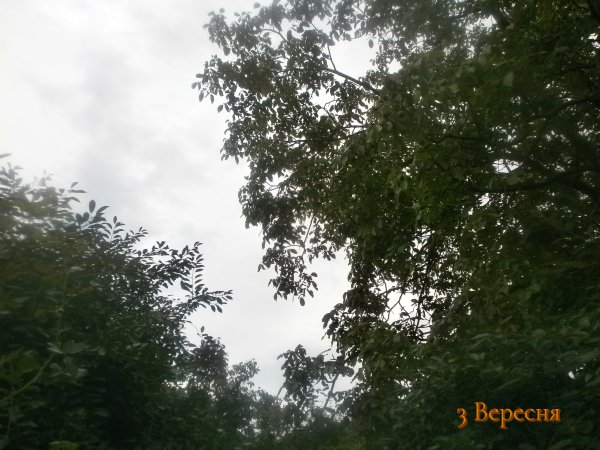 3 Вересня