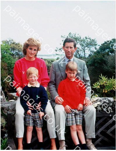picture_355744056