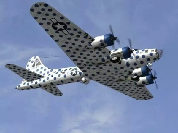 B-17