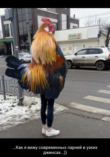 Петух