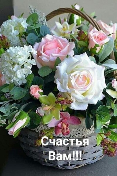 FB IMG 1609351869819