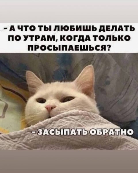 КотЭ)