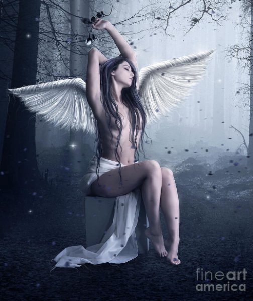 angel