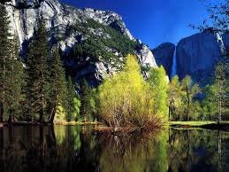 images (28)